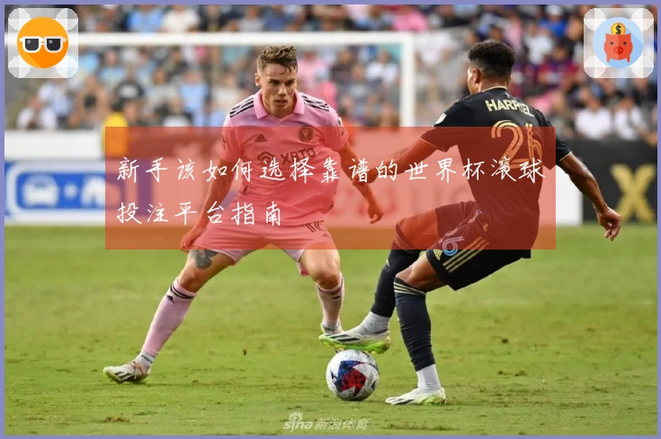 新手该如何选择靠谱的世界杯滚球投注平台指南