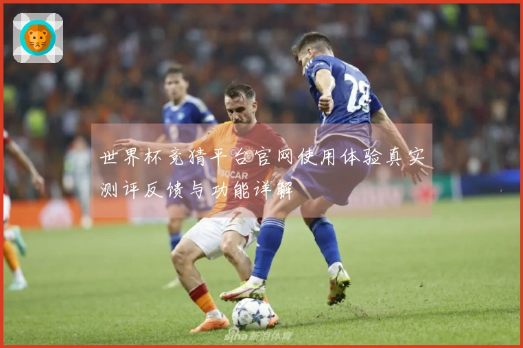 世界杯竞猜平台官网使用体验真实测评反馈与功能详解
