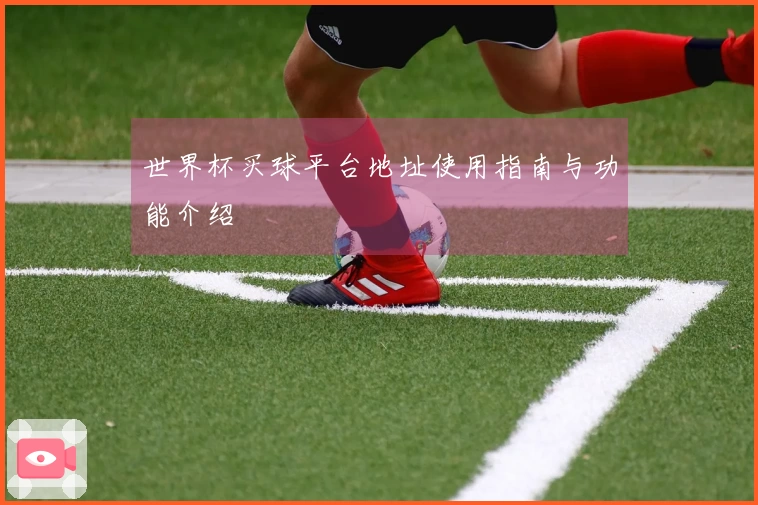 世界杯买球平台地址使用指南与功能介绍