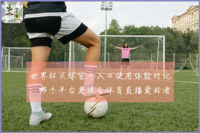 世界杯买球官方入口使用体验对比：哪个平台更适合体育直播爱好者？