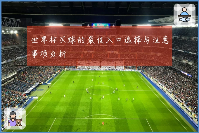 世界杯买球的最佳入口选择与注意事项分析