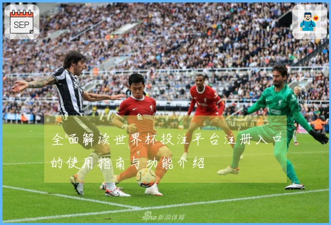 全面解读世界杯投注平台注册入口的使用指南与功能介绍