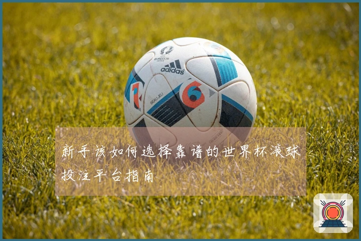 新手该如何选择靠谱的世界杯滚球投注平台指南