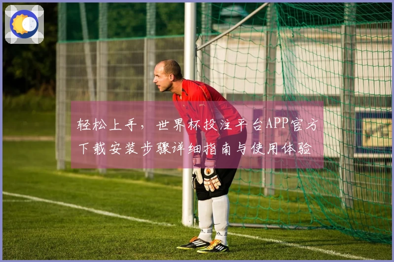 轻松上手，世界杯投注平台APP官方下载安装步骤详细指南与使用体验分享
