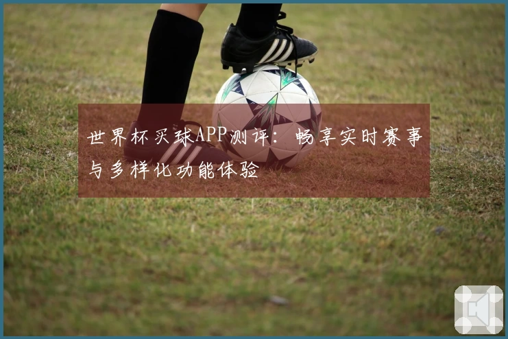 世界杯买球APP测评：畅享实时赛事与多样化功能体验