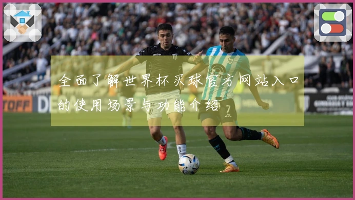 全面了解世界杯买球官方网站入口的使用场景与功能介绍