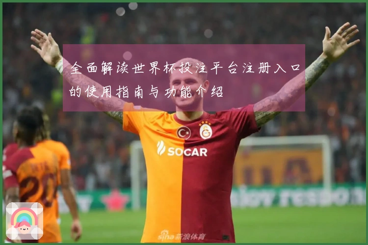 全面解读世界杯投注平台注册入口的使用指南与功能介绍