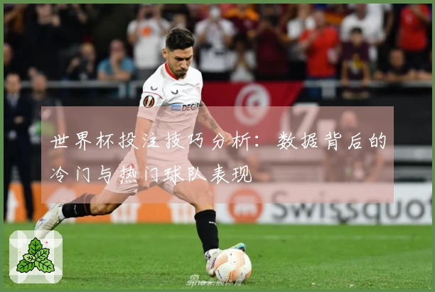 世界杯投注技巧分析:数据背后的冷门与热门球队表现