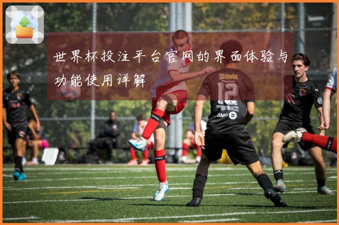 世界杯投注平台官网的界面体验与功能使用详解