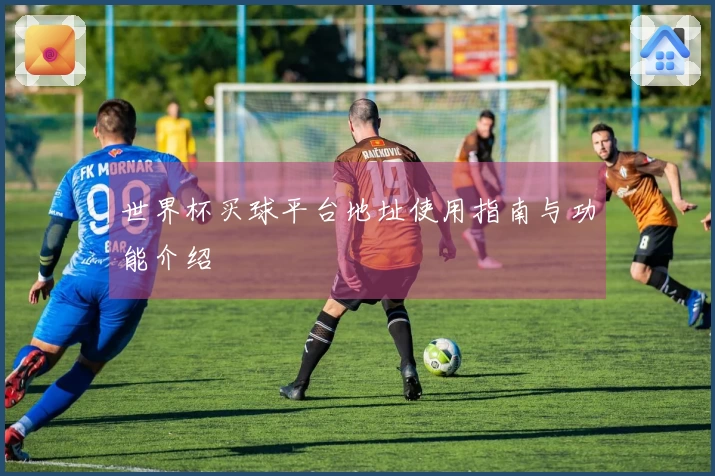 世界杯买球平台地址使用指南与功能介绍