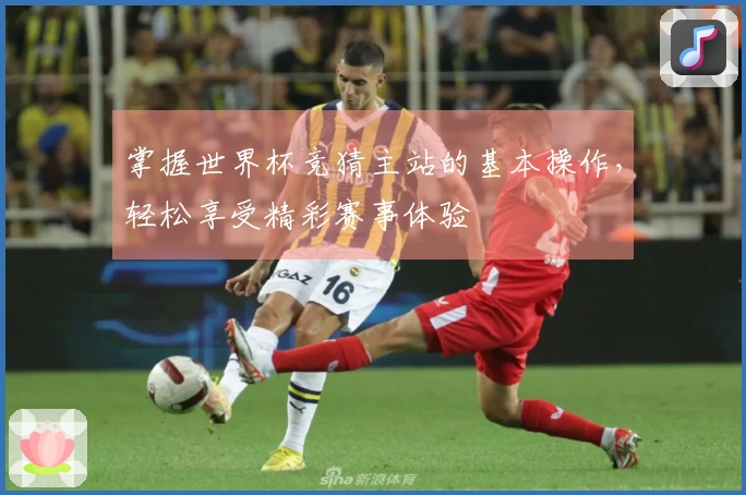 掌握世界杯竞猜主站的基本操作，轻松享受精彩赛事体验